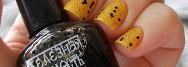 Golden Rose Paris 209 & El Corazon Железная твердость Перепелиное яйцо