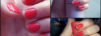 Essence colour&go #109 off to miami