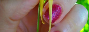 Golden Rose Holiday # 57