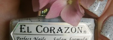 El Corazon Dalmatian