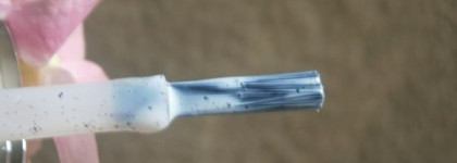 El Corazon Dalmatian