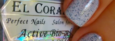 El Corazon Dalmatian