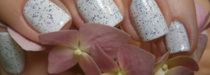 El Corazon Dalmatian