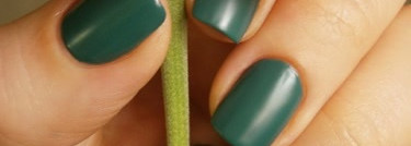 El Corazon "Charm and beauty" № 893