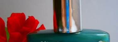 El Corazon "Charm and beauty" № 893