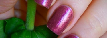 Magic evening fantasy # 423/555