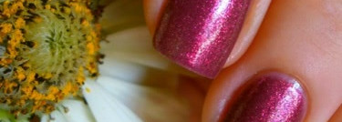 Magic evening fantasy # 423/555