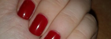 Мой классический красный Golden Rose Paris №81