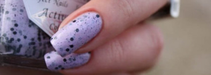 El Corazon 423\95 Eggs Of Wild Birds