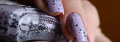 El Corazon 423\95 Eggs Of Wild Birds