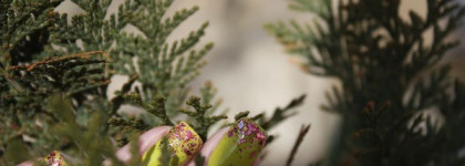 OPI Did It On 'Em+Models Own Hot Stuff