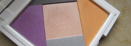 Летние воспоминания с палеткой Kiko Blooming Eyeshadow Palette 02 Steel Cyclamen