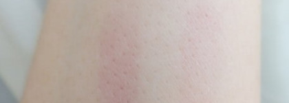 Shiseido Perfect Rouge RS 628