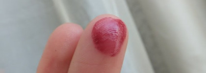 Shiseido Perfect Rouge RS 628