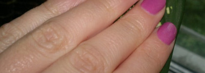 Розовые сказки с Orly Preamp