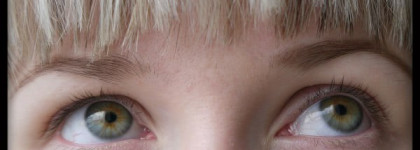 Тушь для ресниц Perfect Mascara Parfait от Shiseido, BK 901 black - за или против?