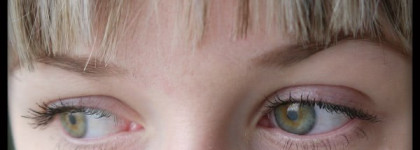 Тушь для ресниц Perfect Mascara Parfait от Shiseido, BK 901 black - за или против?