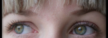 Тушь для ресниц Perfect Mascara Parfait от Shiseido, BK 901 black - за или против?