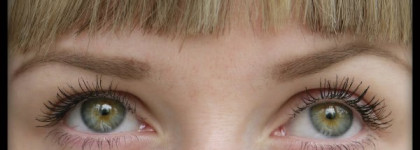 Missha the Style 4D Mascara,цвет чёрный