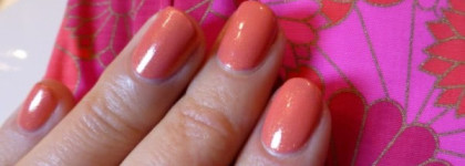 Golden Rose Rich Color 06