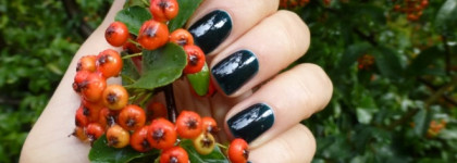 Сравнить несравнимое: Chanel Le Vernis Nail Color Vert Obscur #679 vs Zoya Professional Laсquer Frida