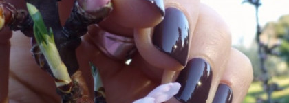 Estée Lauder Pure Color Nail Lacquer Bittersweet