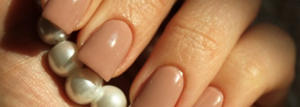 Неоправданные надежды с Golden Rose Selective №12