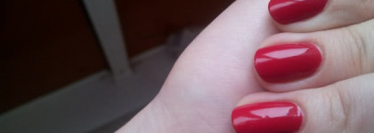 Golden Rose Rich Color 21