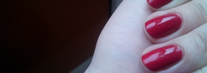 Golden Rose Rich Color 21