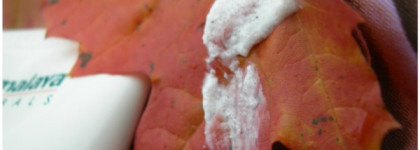 «Шагать как по облакам» (отзыв на Himalaya Herbals Smoothing Foot Scrub - скраб для ног фруктовый)