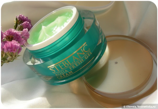 Маленькая бирюзовая сказка в гель-креме Steblanc Aqua Fresh Gel Cream