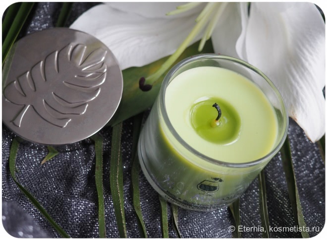 Путешествие в омуты души c ароматической свечой Bath & Body Works Island Margarita