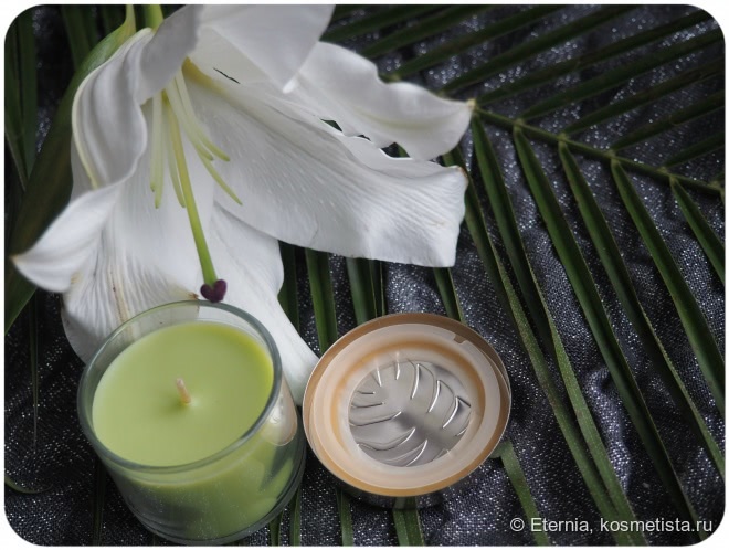 Путешествие в омуты души c ароматической свечой Bath & Body Works Island Margarita