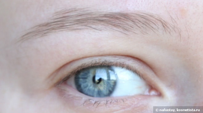 Красивые бровки с карандашом для бровей Master Shape от Maybelline New York в оттенке Deep Brown