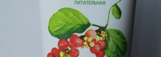 Моя Зеленая Мама