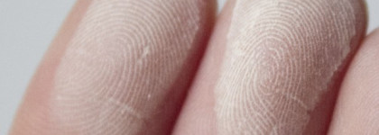 Inglot Компактная пудра для лица матирующая 3S Freedom System в оттенке 304