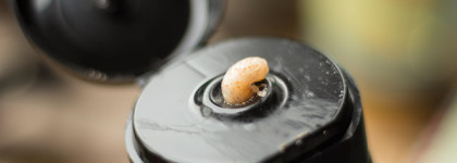 Коллекция моих пилингов и скрабов для кожи головы. От лучшего к худшему. DSD de Luxe, Londa Professional, Natura Siberica