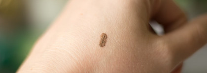 Мой новый и бюджетный любимчик для оформления бровей от Catrice