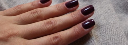 Golden Rose Rich Color №31