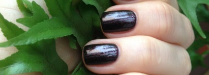 Вредная ежевика от Irisk professional №059