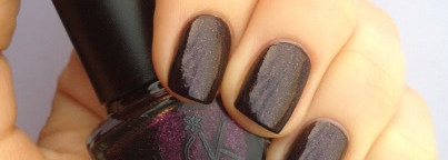 Вредная ежевика от Irisk professional №059