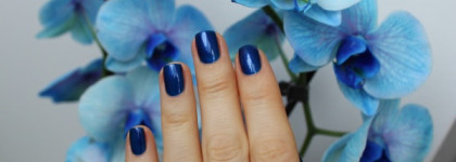 Мужской взгляд на выбор цвета лака для ногтей или Forza Inter с Golden Rose Paris Nail Lacquer #106
