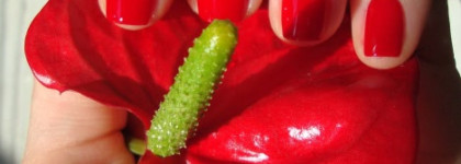 OPI Nail Lacquer A70 Red Hot Rio, OPI Brazil collection 2014