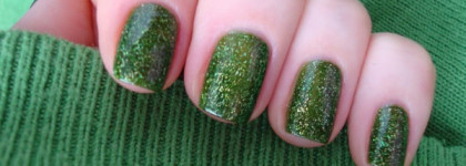 Зелененький он был.. El Corazon Active Bio-gel Color Gel Polish #423/507 Nymph