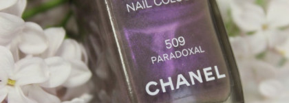 Chanel Le Vernis Nail Colour #509 Paradoxal и его парадоксальные родственники