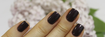 Chanel Le Vernis Nail Colour #509 Paradoxal и его парадоксальные родственники