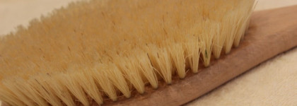 Мыши плакали, кололись, но продолжали пользоваться массажной щеткой из кактуса и бука от Riche