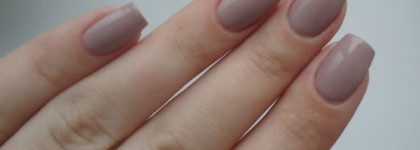 Golden Rose Rich Color #05