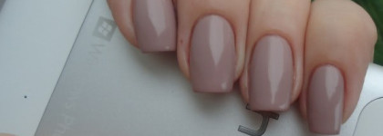 Golden Rose Rich Color #05