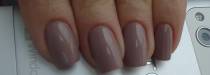 Golden Rose Rich Color #05